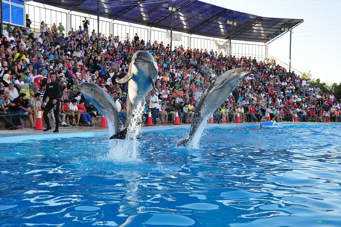 Excursion Image 1 in Sharm El Sheikh