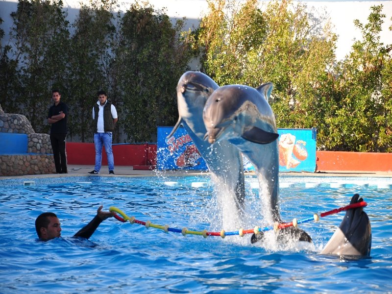 Excursion Image 2 in Sharm El Sheikh